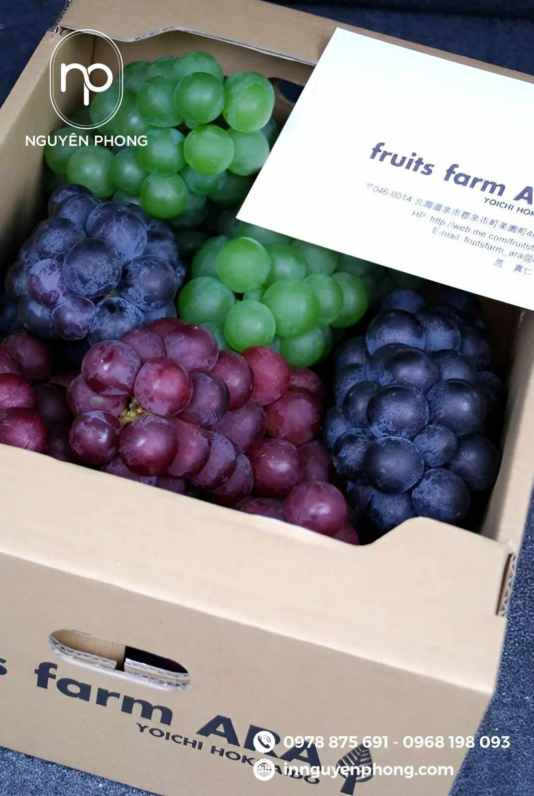 mau-thung-carton-dung-nho-co-lo-thong-hoi 